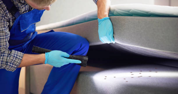 Best Rat Extermination Near Me  in Latimer, MS