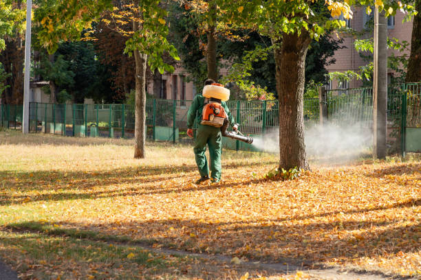 Best Mosquito Control Services  in Latimer, MS