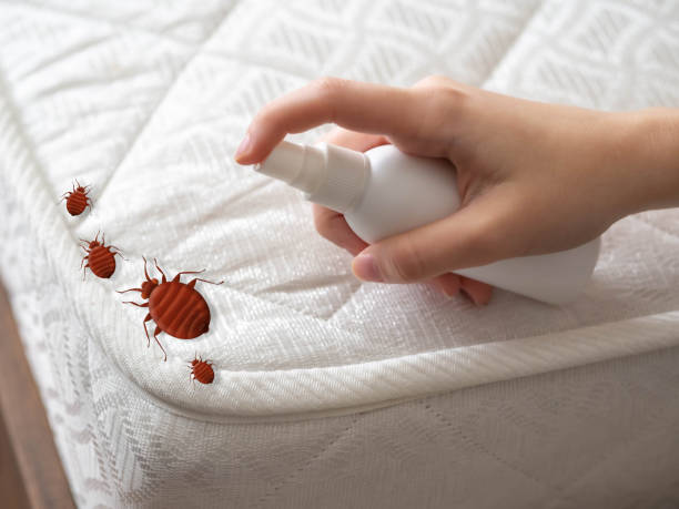 Trusted Latimer, MS Pest Control Experts